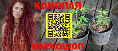 ПСИЛОЦИБИНОВЫЕ ГРИБЫ Новодвинск