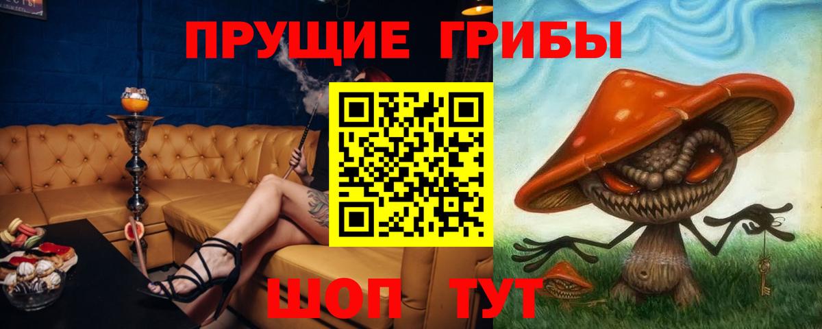 Псилоцибиновые грибы мицелий  наркошоп  Вход с VPN  Славгород  Галлюциногенные грибы Magic Shrooms 