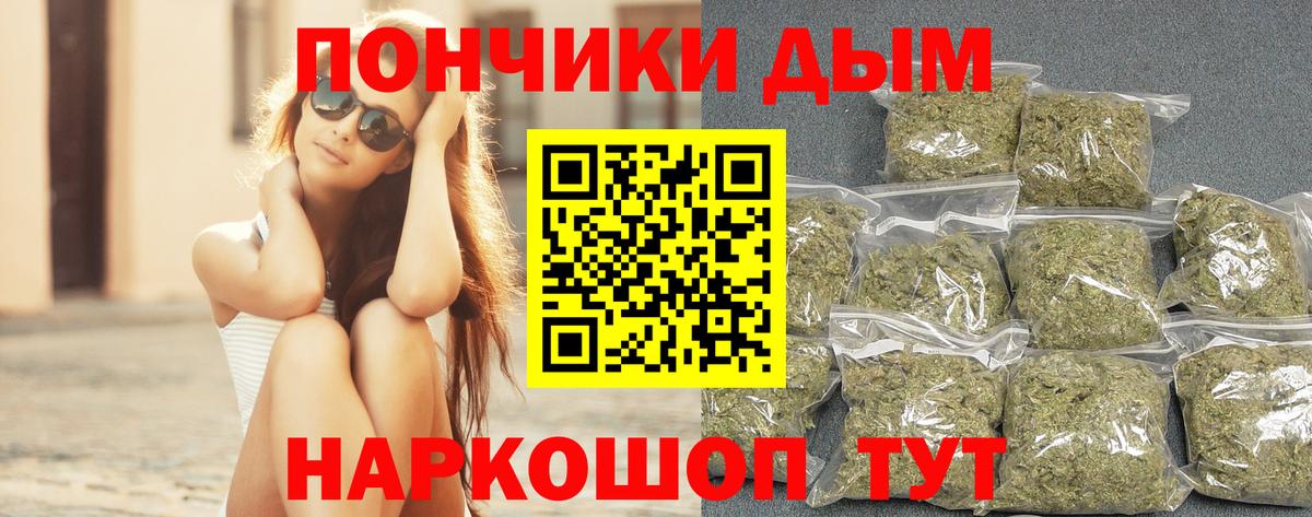 Бошки марихуана марихуана Славгород